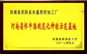 资质证书